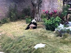 -灵玲国际马戏城