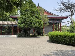 -有喜胶东小馆(太申祥和店)