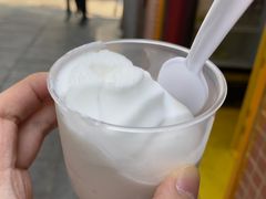 -洪馨椰子