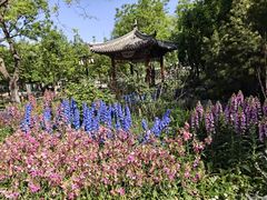 -西海子公园