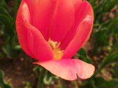 -长春公园(普阳街道)