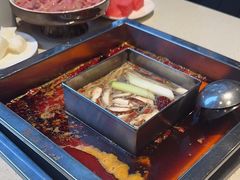-红鼎坊·老成都火锅(新南门店)