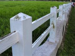 -瑞穗牧场
