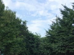 -长白岛森林公园