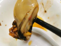 -濠轩阁特色生蚝火锅(水湾路店)