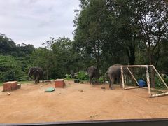 -普吉镇