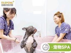 -芭比堂动物医院·心脏专科·夜诊·吉雅分院