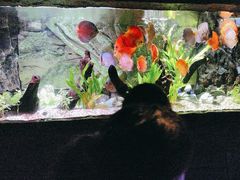 -上海海洋水族馆