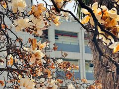 -秀·爱尔兰餐吧(上海路店)