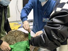 -达爱动物医院·犬猫分区·CT·复杂眼科(远洋山水分院)