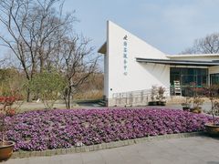 -上海滨江森林公园