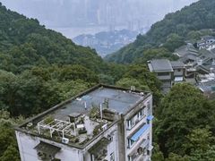 -南山植物园