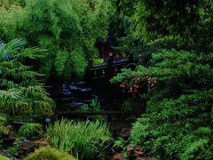 -望江楼公园