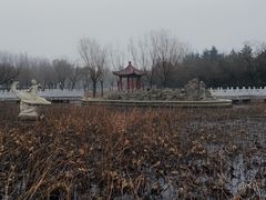 -莱西月湖公园