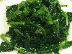 清炒豆苗-鼎泰丰(当代商城店)