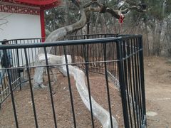 -北山公园