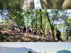 -黄埔油麻山森林公园