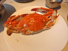 梭子蟹-赶海部落海鲜城(海阳路店)