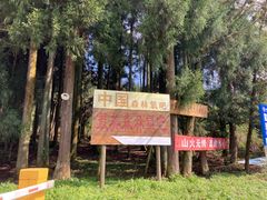 -武陵山森林公园