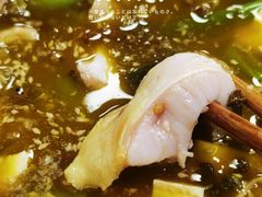 -韩妹鱼庄·泸定老字号(泸定店)