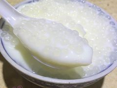 椰汁西米炖奶-百花传统甜品店(原址店)