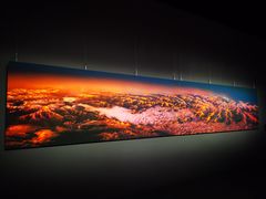 -罗红摄影艺术馆