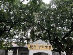 -广州素食学校·素猫豆腐(长洲码头店)