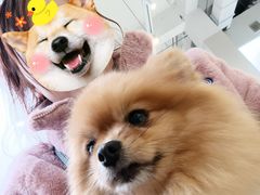 -怪兽屋·羊驼·猫咖·狗咖(俊华广场店)