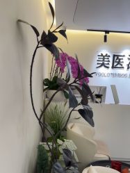 -海涛医疗美容·面部抗衰·注射美鼻