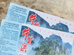 -牛背梁国家森林公园