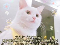 -艾贝尔宠物医院 ·中兽医·宠保定点(北门桥店)