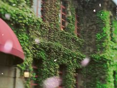 -半岛公馆(淞兴西路店)