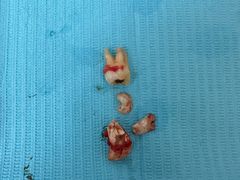 -牙博士口腔品牌连锁(杨浦店)