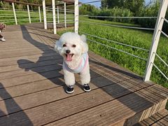 -洨河生态公园