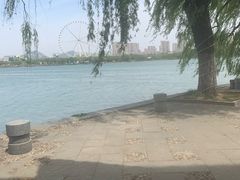 -济南国际园博园