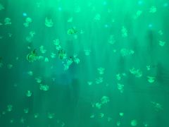 -福州罗源湾海洋世界旅游区