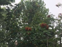 -金石唐风国际温泉会馆