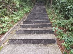 -火炉山森林公园