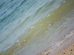 -瑶湖郊野森林公园