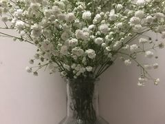 -循礼门鲜花花市(武汉循礼门店)