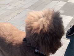 -星巴克(珠海仁恒滨海中心店)