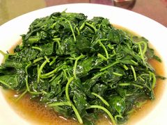 -旭龙鱼头王(航华店)