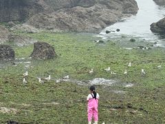 -黑石礁公园