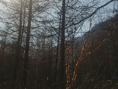 -红崖峡谷景区
