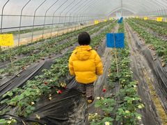 -普迪生态园