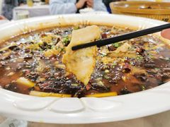来凤鱼-瓦房兔(璧山店)