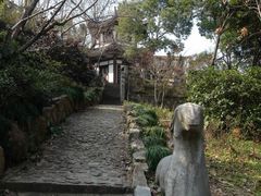 -上海佘山国家森林公园西佘山园