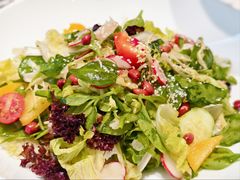 蔬菜沙拉-大铁勺新津菜(迎水道店)