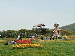 -苏州太湖西山岛开心农场
