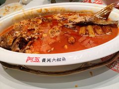 -阿五黄河大鲤鱼(海尚店)